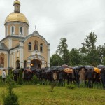 IMG_3031_-_Копiя