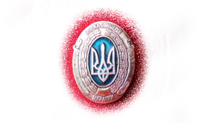 customLogo