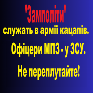 9e83c866b9b7ef727fb8e